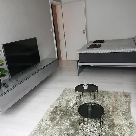 Krasny V Centre Mesta Apartment *